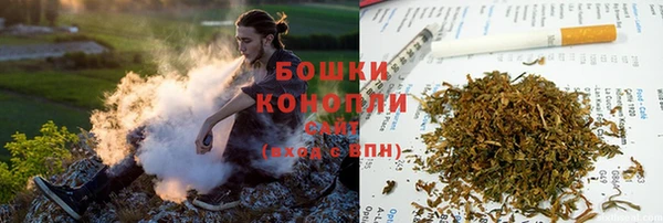 прущие крисы Костерёво